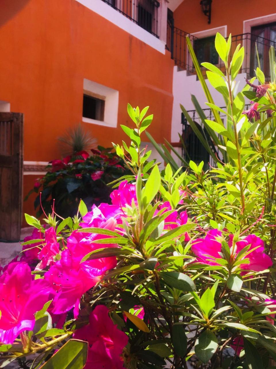 Casa Pozo Del Rayo Hotel Boutique Dolores Hidalgo Eksteriør bilde